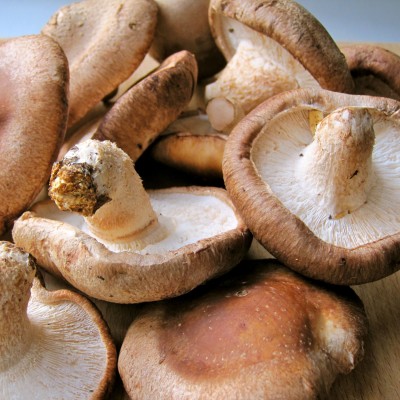 Shiitake 250gr